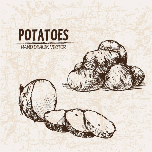 Digital vector szczegółowe linii sztuki ziemniaków - Wektor, obraz