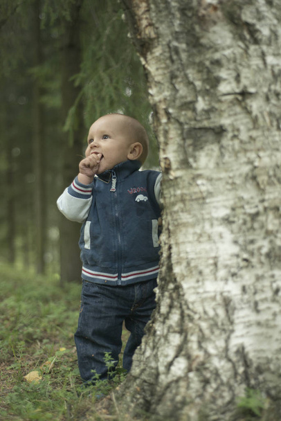 One year boy with dark brown eyes on the grass in the park at summer - Fotoğraf, Görsel