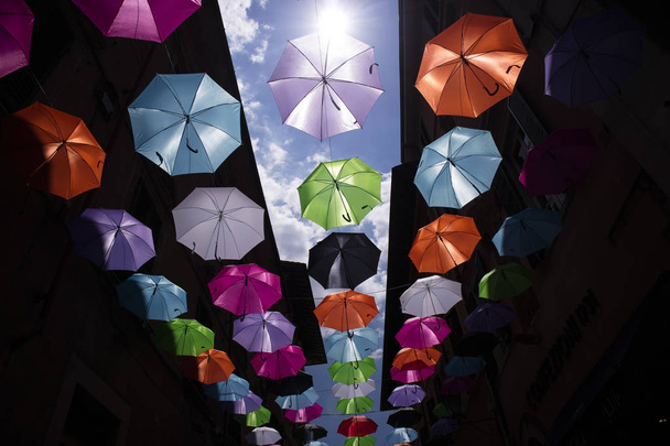 Paraguas de diferentes colores
 - Foto, Imagen