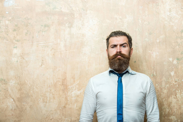 hipster or bearded man with long beard on serious face - Фото, изображение