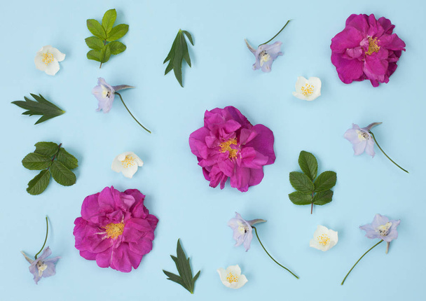 Pattern of flowers - wild roses, jasmine and delphinium, - Valokuva, kuva
