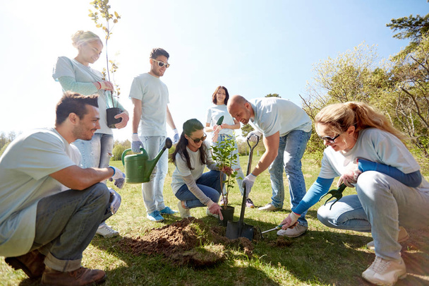 group of volunteers planting tree in park - 写真・画像