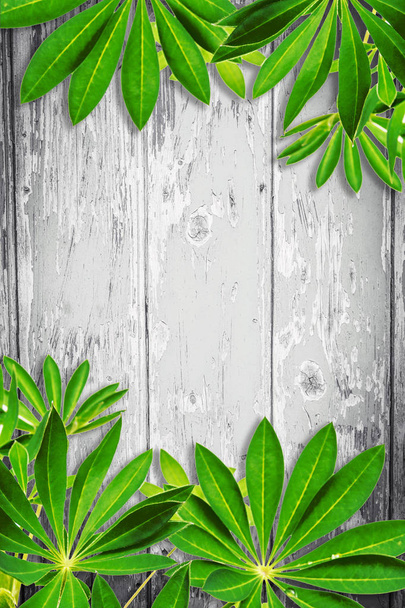 Wooden background with green exotic leaves - Fotoğraf, Görsel