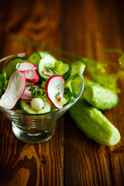Fresh salad with cucumber and radish - Foto, afbeelding
