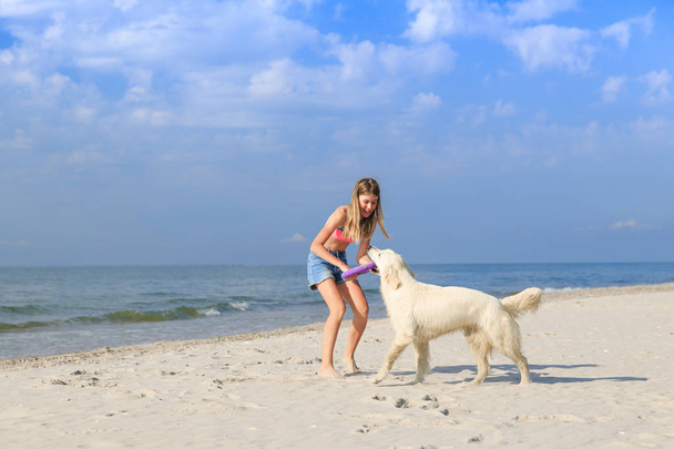 happy girl playing with a dog on the beach - Fotoğraf, Görsel