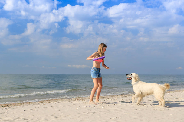 happy girl playing with a dog on the beach - Φωτογραφία, εικόνα