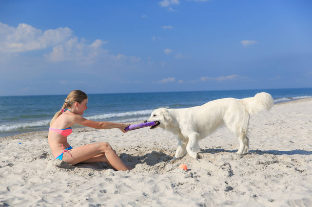 happy girl playing with a dog on the beach - Fotoğraf, Görsel