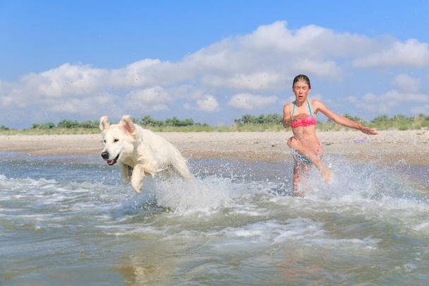 happy girl playing with a dog on the beach - Фото, зображення