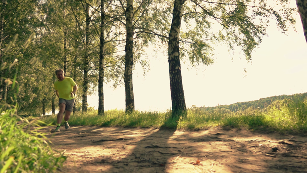 Hidasliikkeinen laukaus urheilullinen juoksija kompuroi ja kiertämällä nilkkansa metsässä tiellä juostessaan
 - Materiaali, video