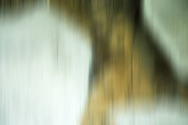 grauer und brauner verschwommener Hintergrund - Foto, Bild
