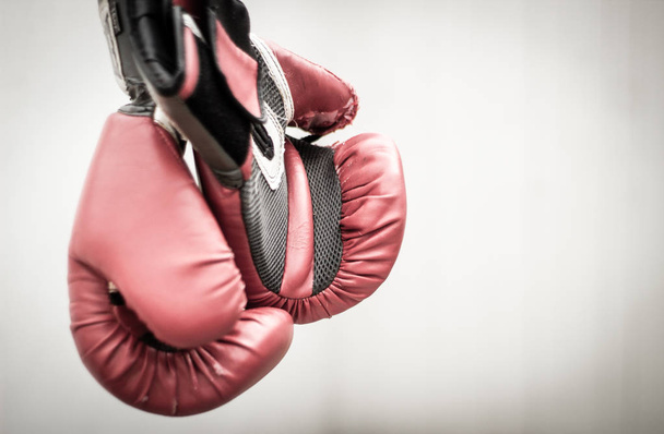 Pair of boxing gloves  - Zdjęcie, obraz