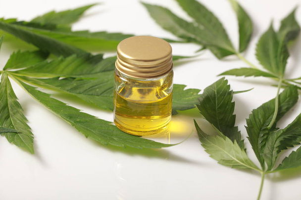 Cannabis leaves CBD oil hemp products - Photo, Image