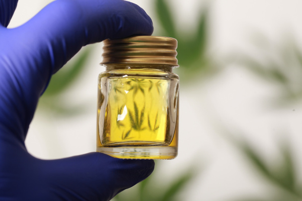 Cannabis leaves CBD oil hemp products - Photo, Image