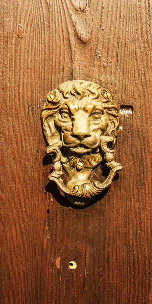 ライオンの形をした真鍮製ドアノッカーとドアの頭部、美しい - 写真・画像