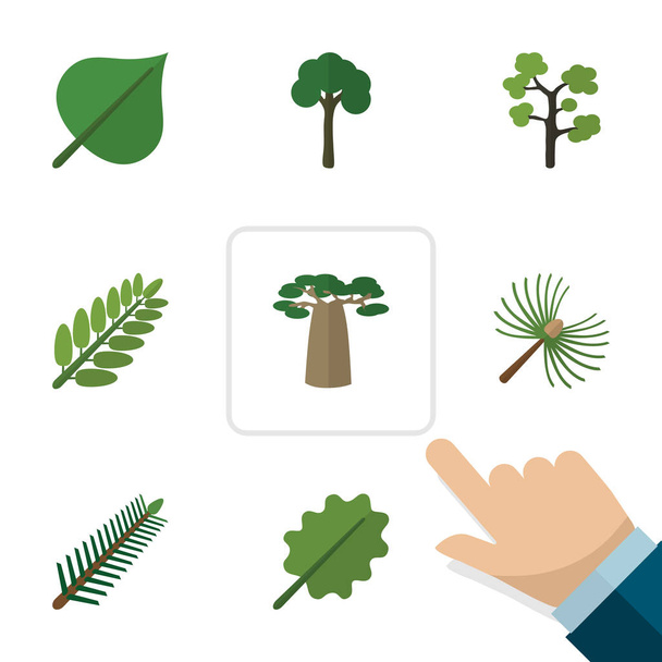 Flat Icon Natural Set Of Leaves, Spruce Leaves, Evergreen And Other Vector Objects. Also Includes Evergreen, Oak, Baobab Elements. - Vektori, kuva