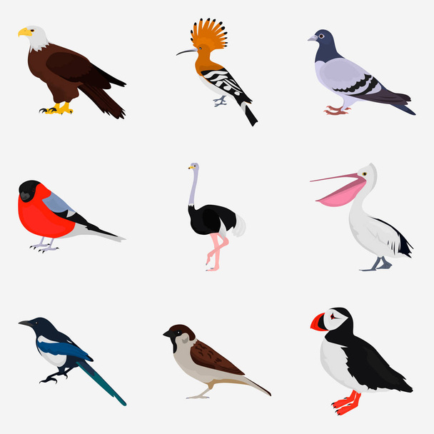 Web およびモバイル デザインの異なる鳥色フラット アイコンのセット - ベクター画像