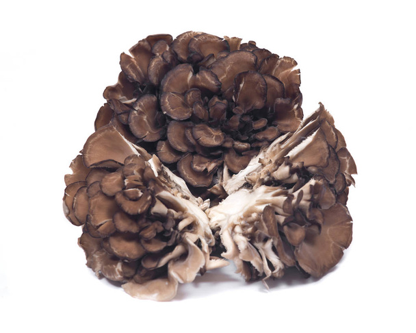 Biologische maitake immuun versterking medicinale paddenstoel - Foto, afbeelding