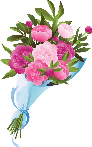 Bouquet of peonies - Vector, Image
