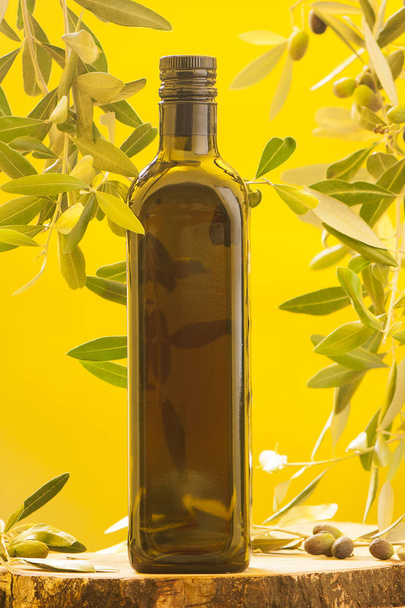 Huile d'olive et branche d'olive
  - Photo, image