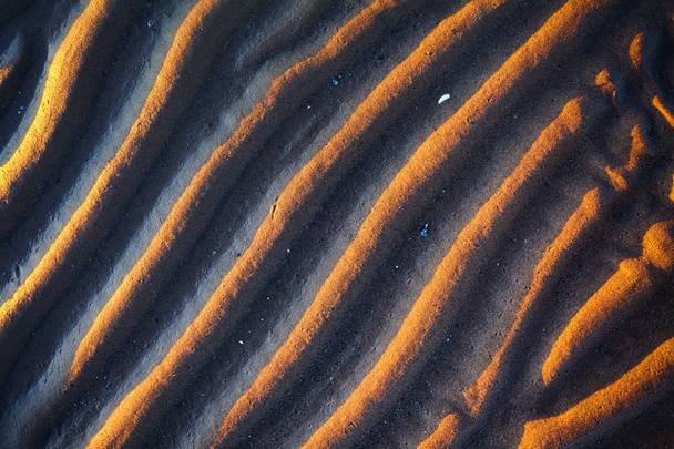 Textura Orilla del mar
 - Foto, Imagen
