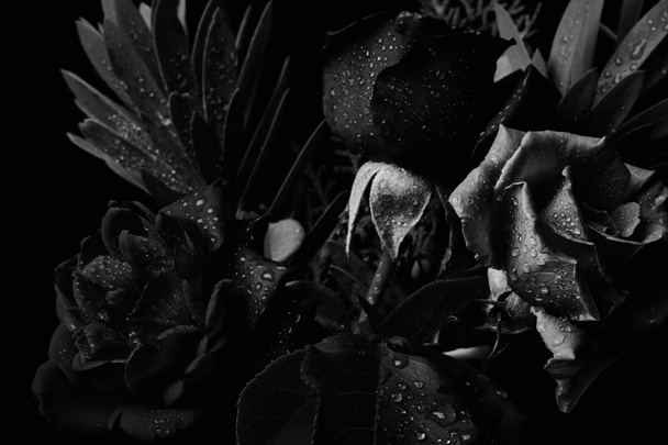 Black and white bouquet studio backdrop shot - Photo, Image