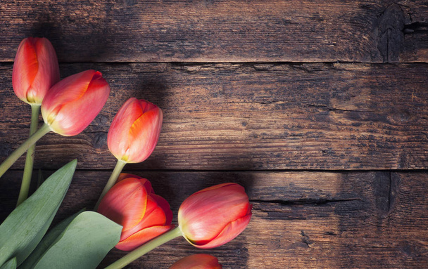 Bunch of fresh spring tulips on old vintage wooden board, copy space - 写真・画像