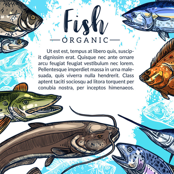 Cartaz de vetor das capturas de peixe para o mercado da pesca
 - Vetor, Imagem