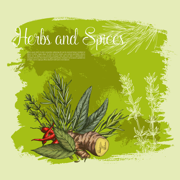 Διάνυσμα μπαχαρικά, βότανα και καρυκεύματα αφίσα - Διάνυσμα, εικόνα