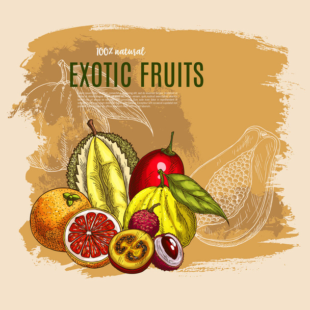 Vector exotic durian, mango, papaya fruits poster - Vector, afbeelding
