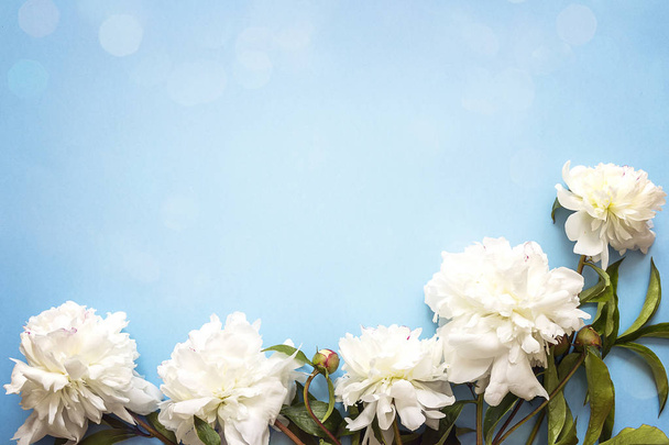 Border of white peonies on a blue background with copy space. - Photo, image