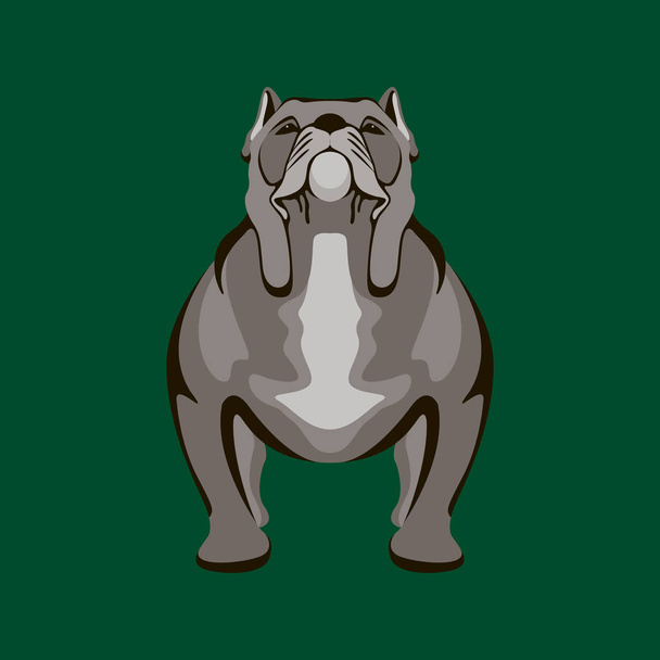 pitbull terrier vecteur illustration style plat
 - Vecteur, image