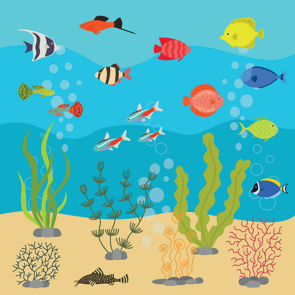 Тропічні екзотичні риби в акваріумі або під водою океану. Векторна ілюстрація рибного резервуара з різнокольоровими морськими рибами та водоростями
. - Вектор, зображення