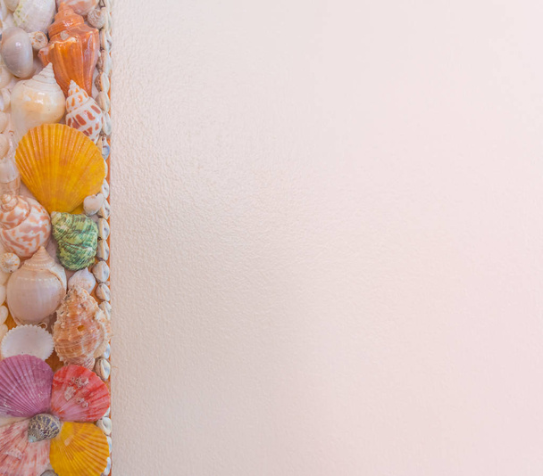 Cream tone wall decorated with seashells. - Photo, Image