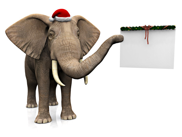 слон у капелюсі Санта
. - Фото, зображення