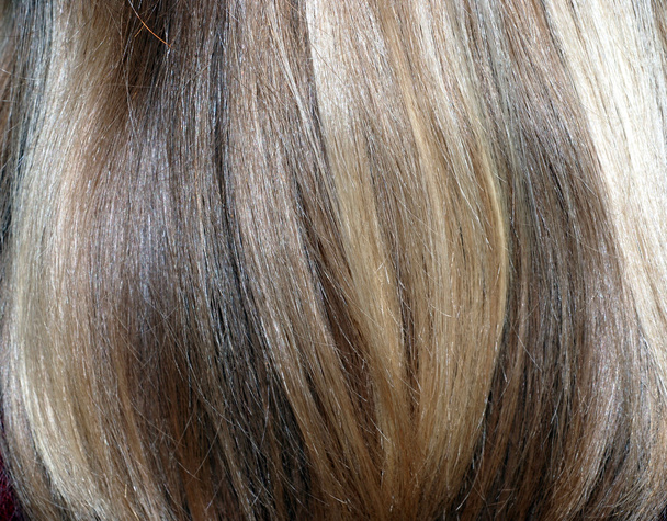 Blonde hair - Photo, Image