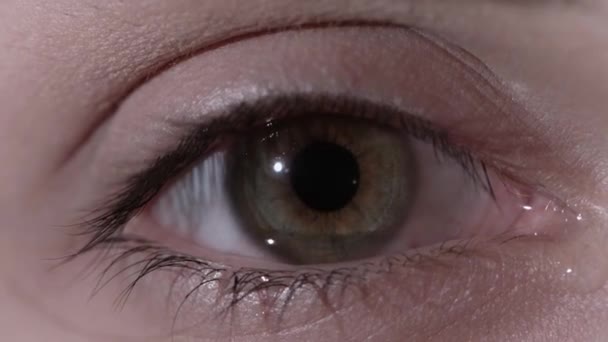 Beautiful insightful look light green womans eye. Close Up of Womans Light Green Eye with Heart Pupil - Footage, Video