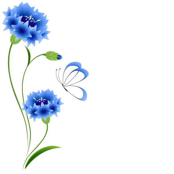 Blumenhintergrund mit blauen Kornblumen und Schmetterling. - Vektor, Bild