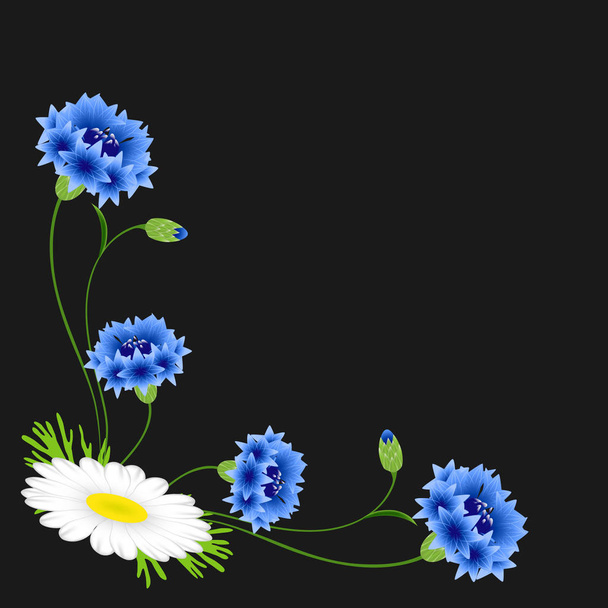Ecke mit blauen Kornblumen und Gänseblümchen auf schwarzem Hintergrund. - Vektor, Bild