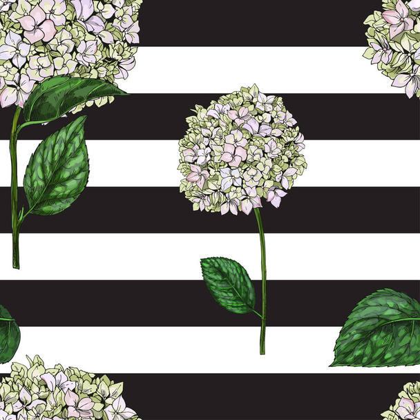 Modèle sans couture avec des fleurs de phlox sur fond rayé noir et blanc. Illustration vectorielle
. - Vecteur, image