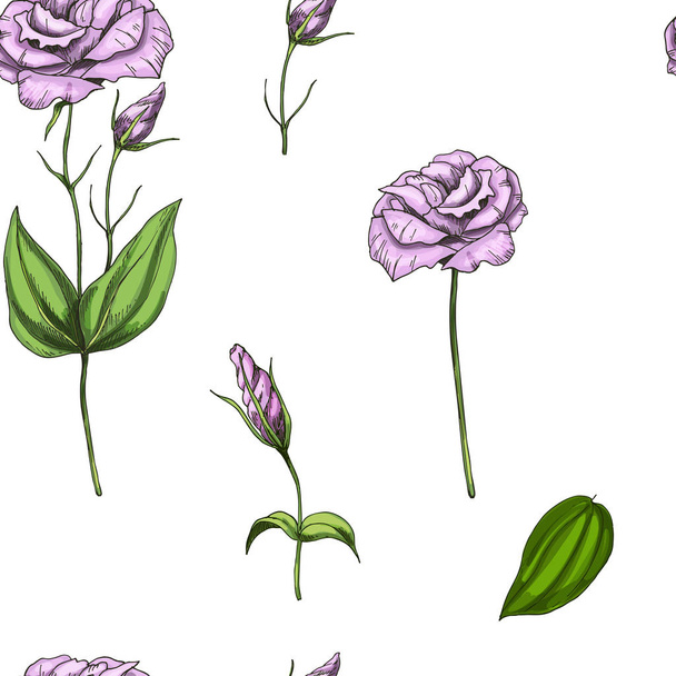 Seamless pattern with gently pink rose flower isolated on white background. Vector illustration. - Vetor, Imagem