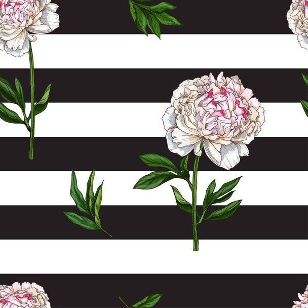 nahtloses Muster mit sanft rosa Pfingstrose Blüte isoliert auf schwarz-weiß gestreiftem Hintergrund. Vektorillustration. - Vektor, Bild