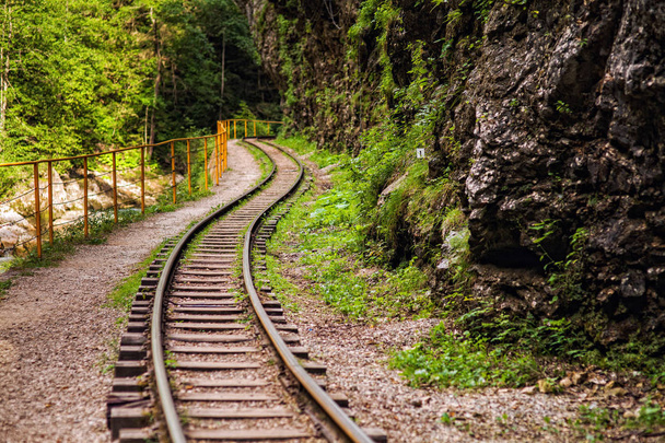 the railroad in the gorge - Φωτογραφία, εικόνα