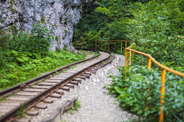 the railroad in the gorge - 写真・画像