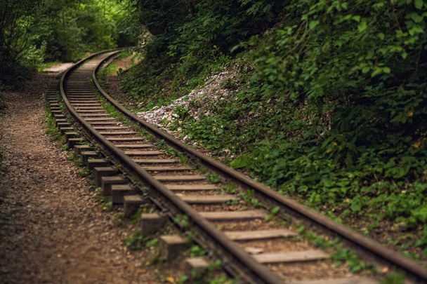 the railroad in the gorge - 写真・画像