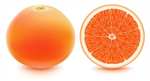 Grapefruit - Vektor, Bild