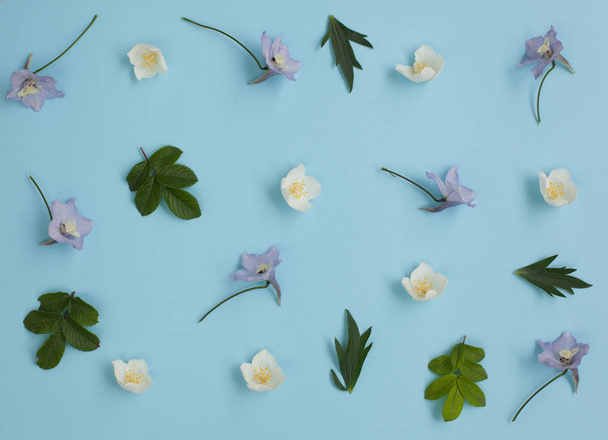 background of flowers -  jasmine and delphinium - Valokuva, kuva