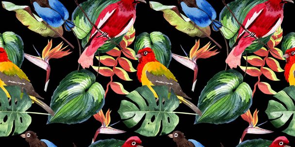 Sky paradijsvogels patroon in een fauna door aquarel stijl. - Foto, afbeelding