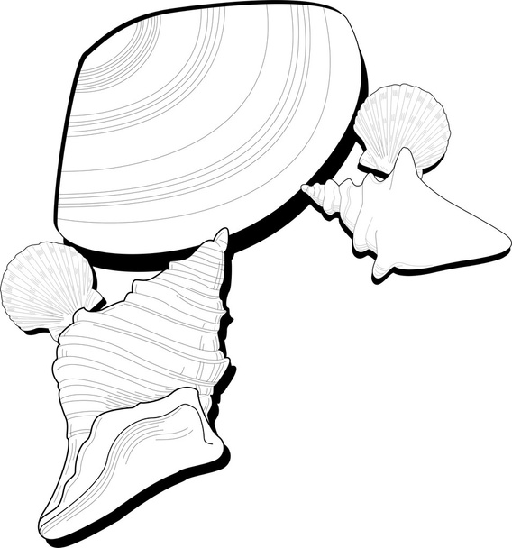 Vector conchas marinas
 - Vector, imagen