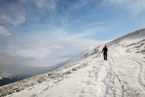 Mountain hiker in bad weather during winter  - Zdjęcie, obraz