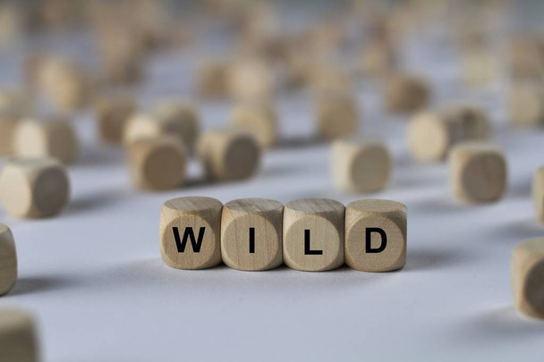Wild kubus met letters, ondertekenen met houten kubussen - Foto, afbeelding